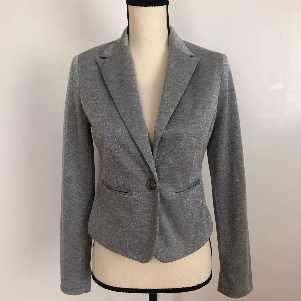 Sparkly Gray Blazer